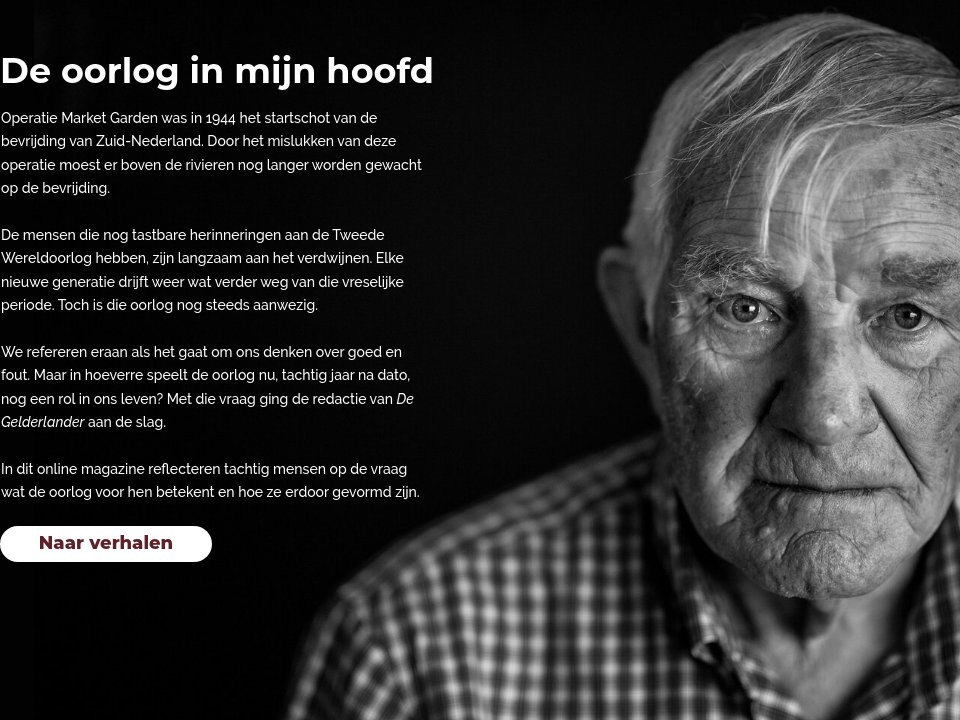 introductie - Oorlog in mijn hoofd